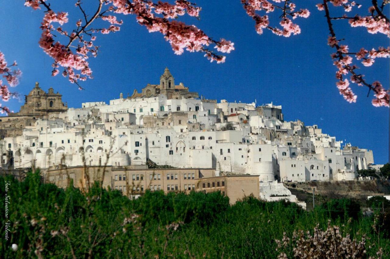 Villa Trullo Ramachandra Carovigno Εξωτερικό φωτογραφία
