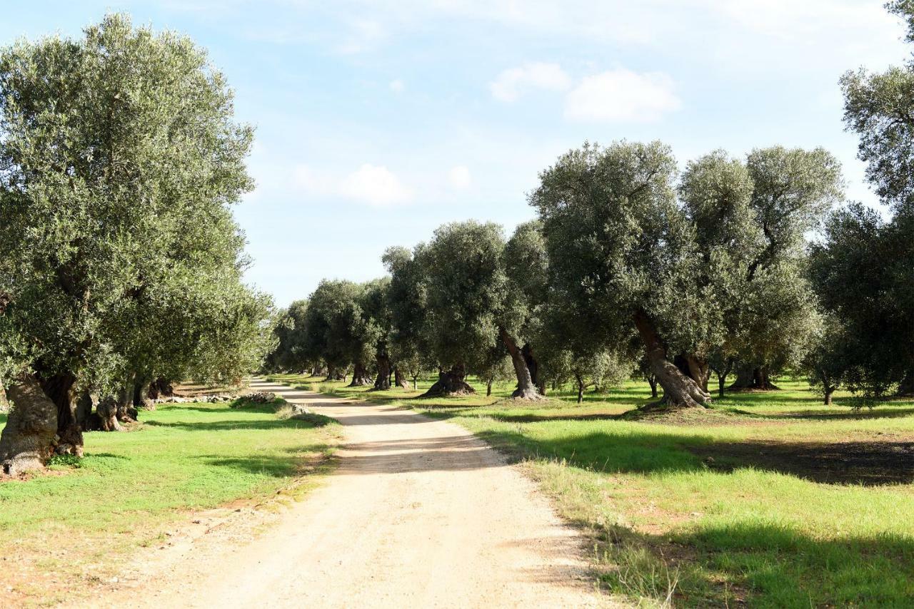 Villa Trullo Ramachandra Carovigno Εξωτερικό φωτογραφία