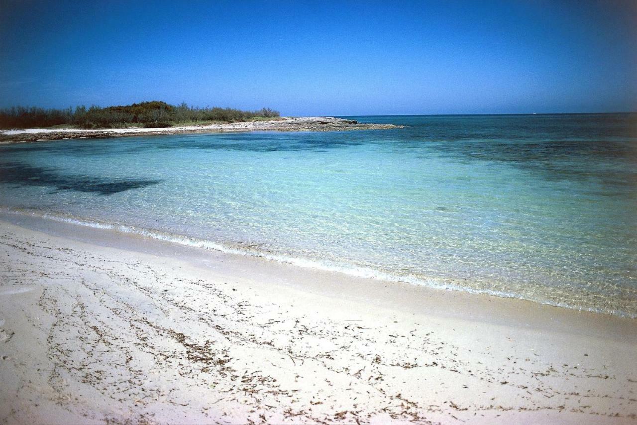 Villa Trullo Ramachandra Carovigno Εξωτερικό φωτογραφία
