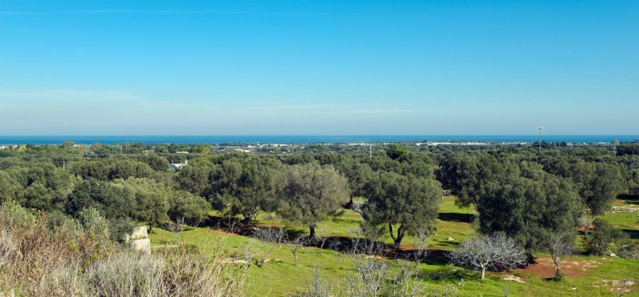 Villa Trullo Ramachandra Carovigno Εξωτερικό φωτογραφία